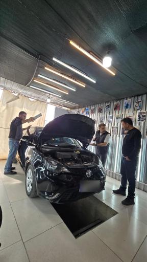 عکس کارشناسی رنگ خودرو برادران پرویزی