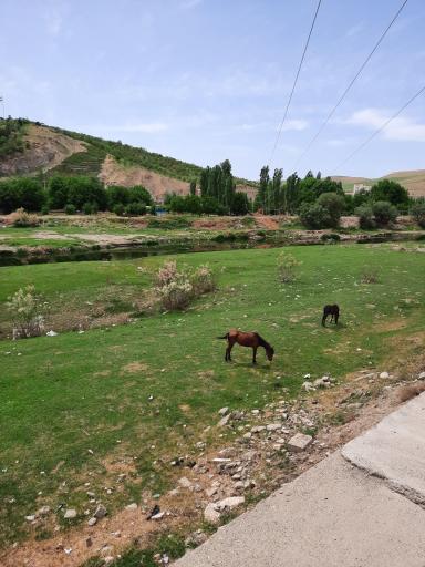 عکس بوکان