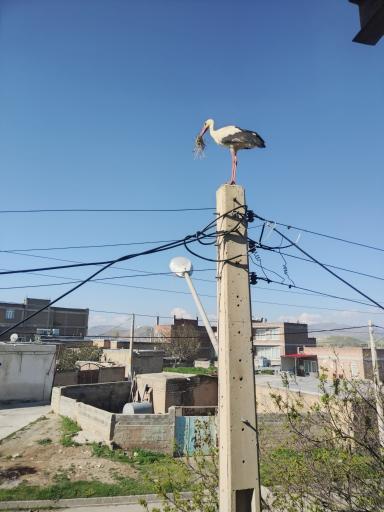 عکس بوکان