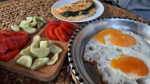 عکس چایخونه بهار