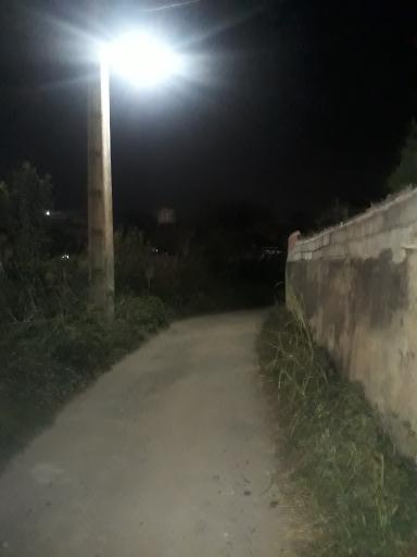 عکس پایین گنج افروز