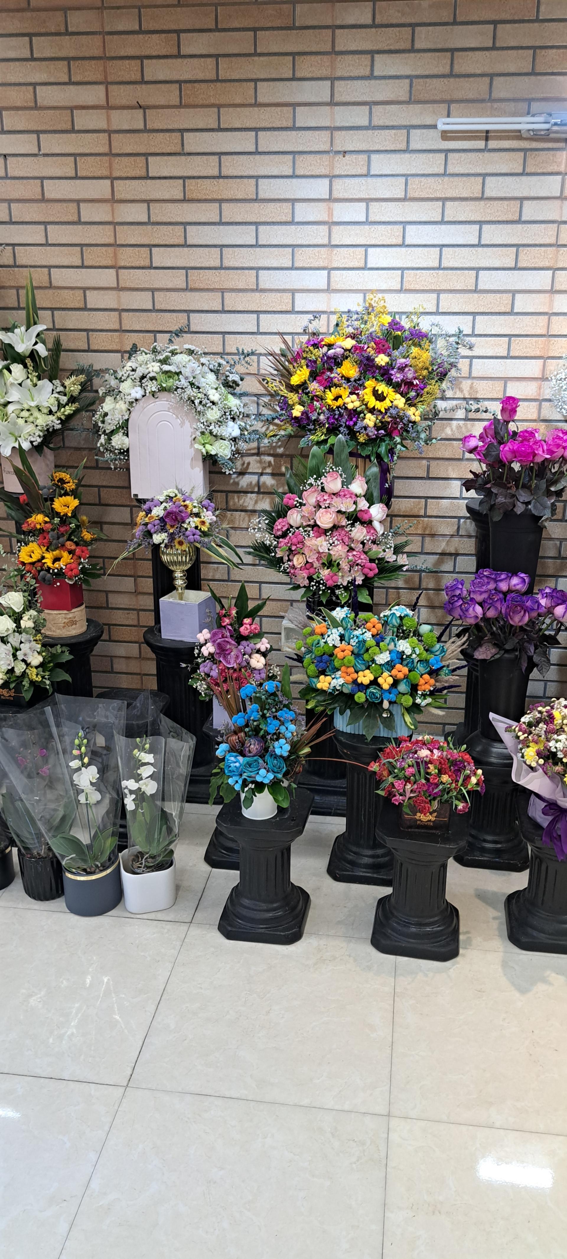 عکس بهار گل