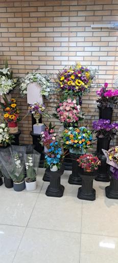 عکس بهار گل