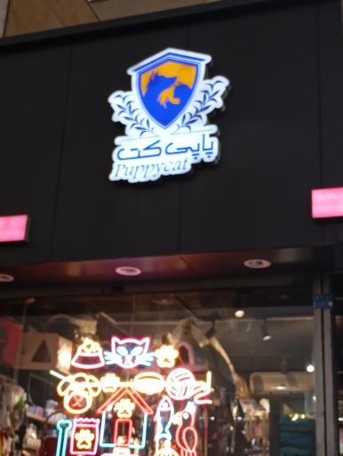 عکس پت شاپ پاپی کت