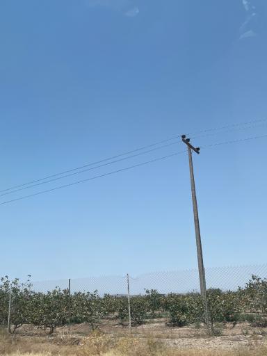 عکس فیض آباد