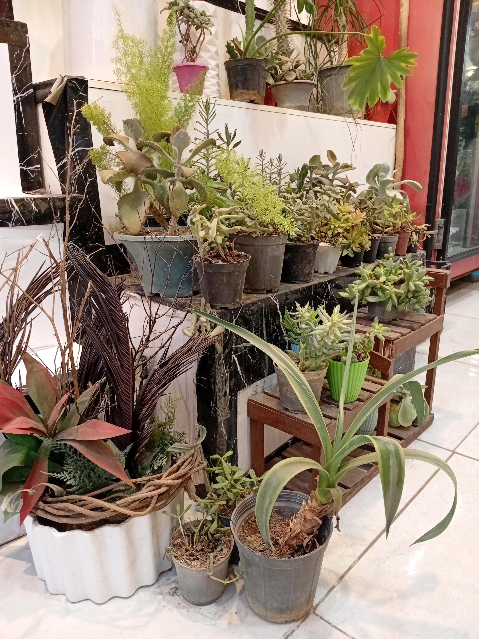 عکس گل فروشی نغمه