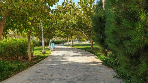 عکس بوستان نواری