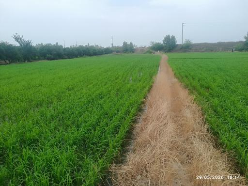 عکس پایین گنج افروز