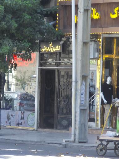 نگین بیوتی