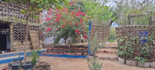 عکس مزرعه و کافه ارگانیک سلیدون