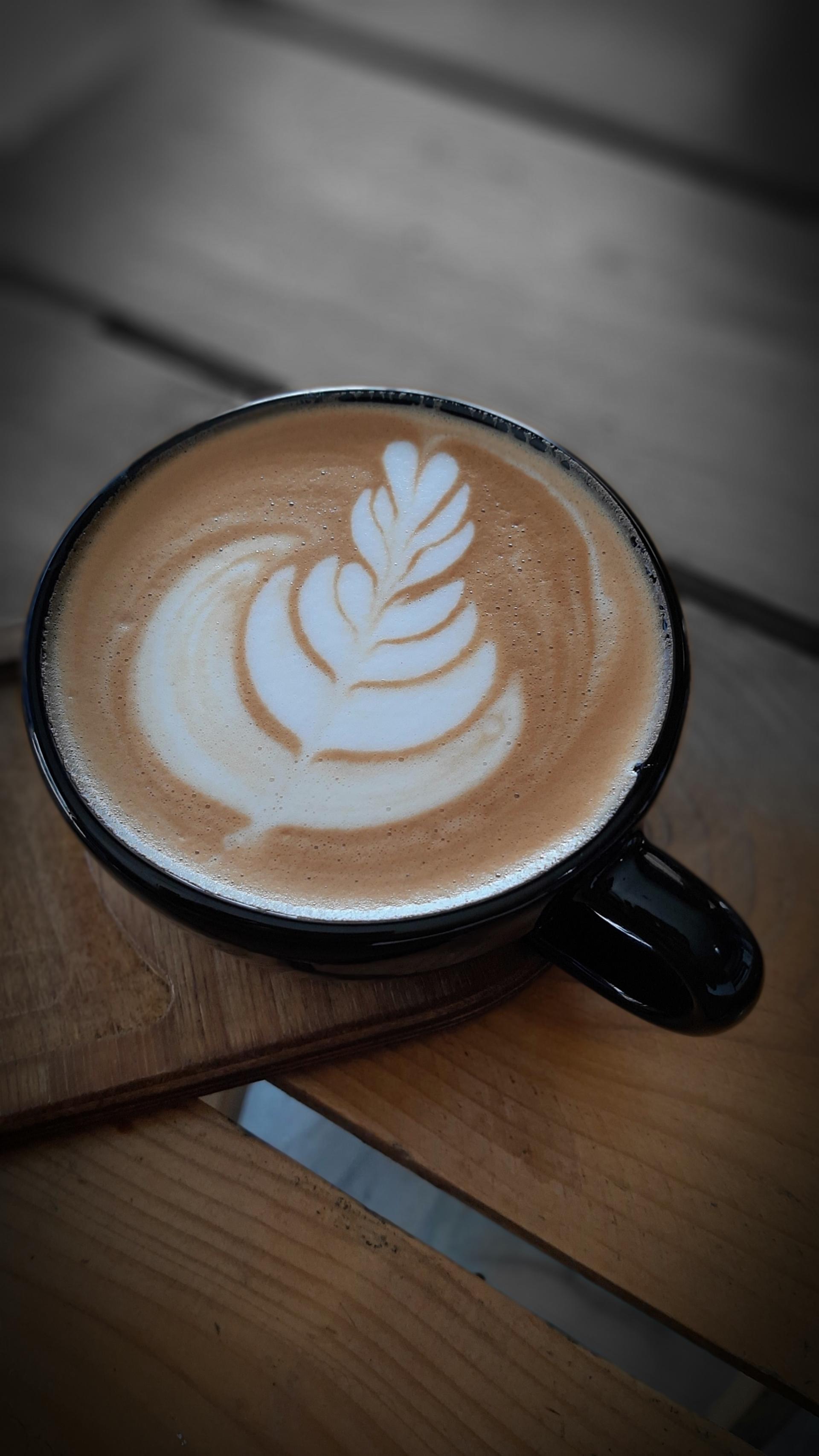 عکس مستر کافی