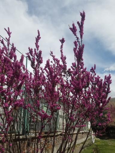 عکس بوستان میثم