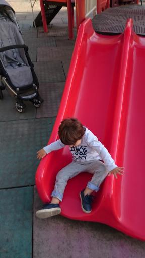 عکس بوستان میثم