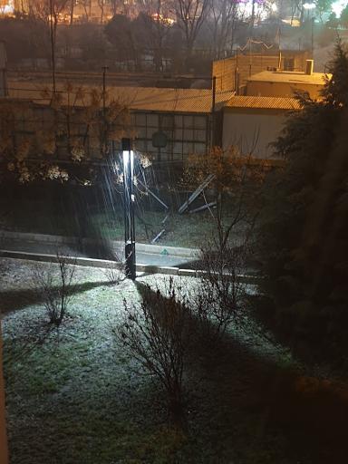 عکس بوستان میثم