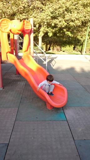 عکس بوستان میثم