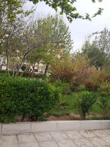 عکس بوستان میثم