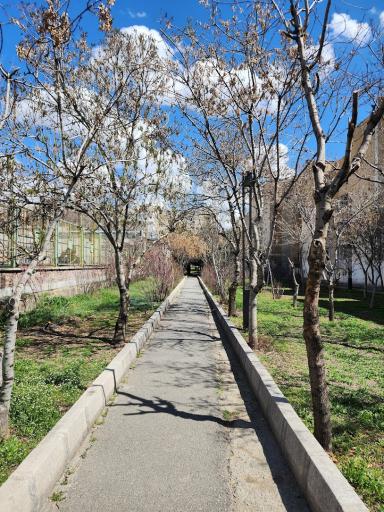 عکس بوستان میثم