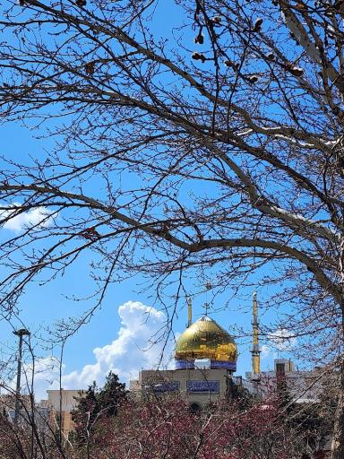 عکس بوستان میثم