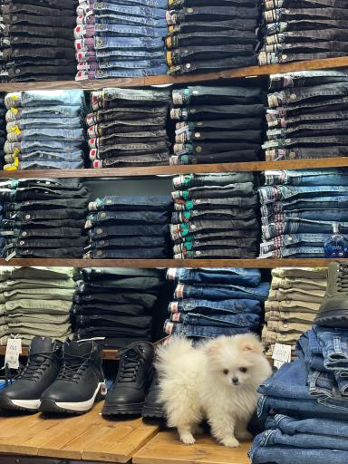 عکس بوتیک شاهرخ