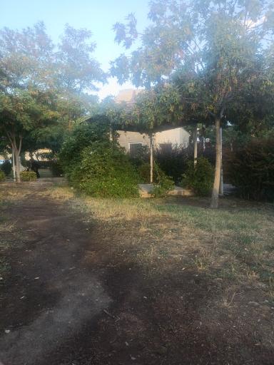 سرویس بهداشتی 