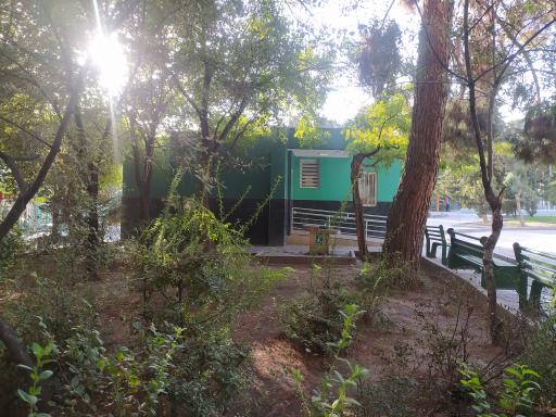 عکس سرویس بهداشتی