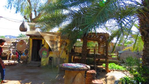 عکس مزرعه و کافه ارگانیک سلیدون