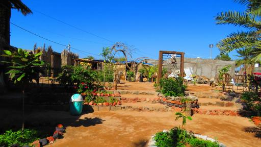 عکس مزرعه و کافه ارگانیک سلیدون