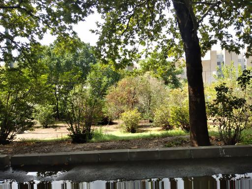 عکس بوستان میثم