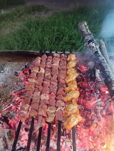 عکس کبابی امین
