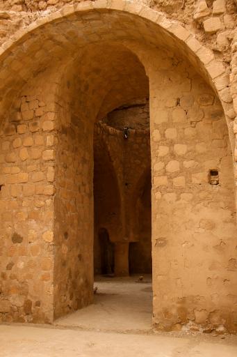 عکس کاخ ساسانی سروستان (شکارگاه بهرام گور)