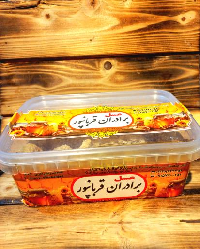 عکس سوپر برادران قربانپور