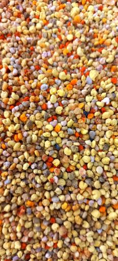 عکس سوپر برادران قربانپور