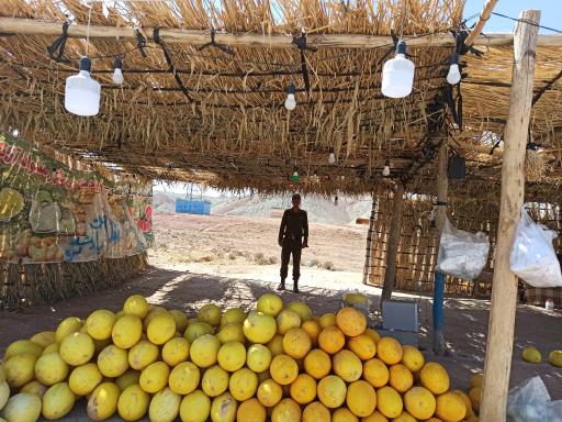 عکس بازارهفتگی