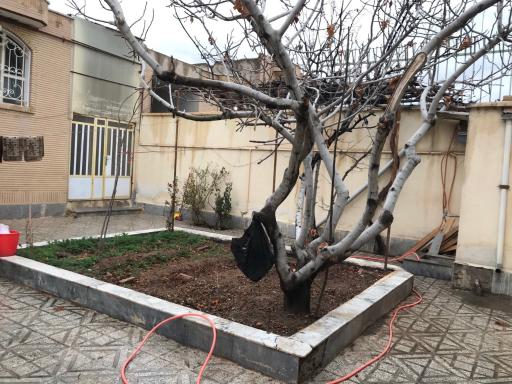 عکس خانه مسافر ساریگل