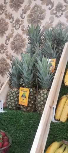 عکس هایپر میوه 