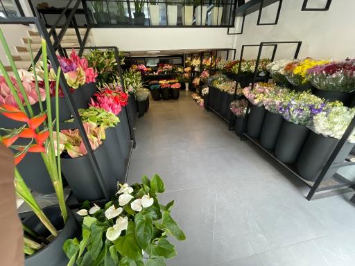 عکس گلفروشی گلزار
