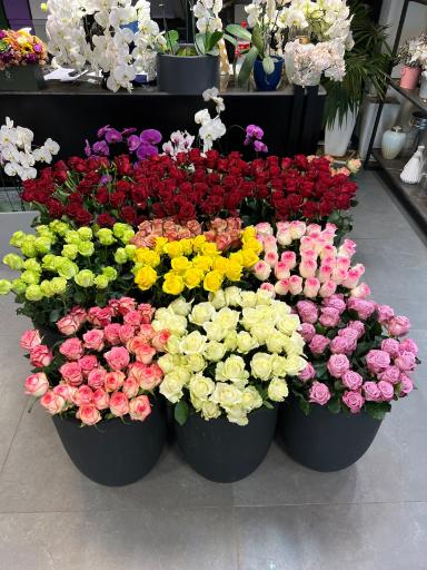 عکس گلفروشی گلزار