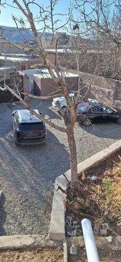 عکس اقامتگاه بومگردی باغدشت ۲