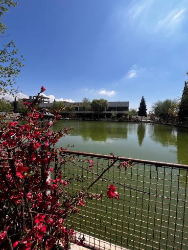 عکس مجتمع تفریحی سیاحتی ارکیده