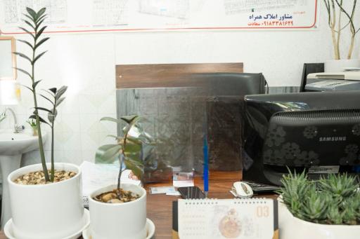 عکس املاکی سعادت