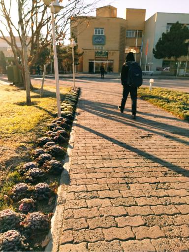 عکس دانشکده مهندسی