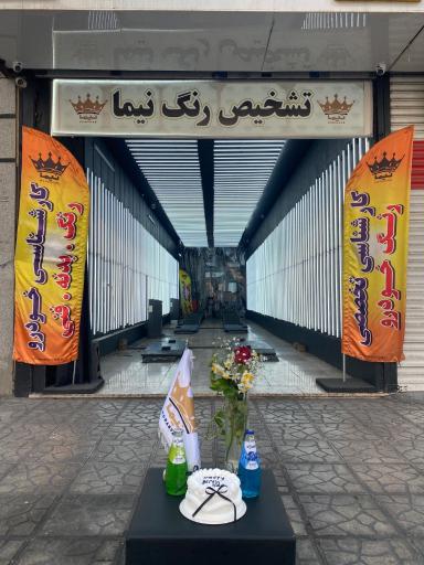عکس کارشناسی و تشخیص رنگ خودرو نیما هنرور