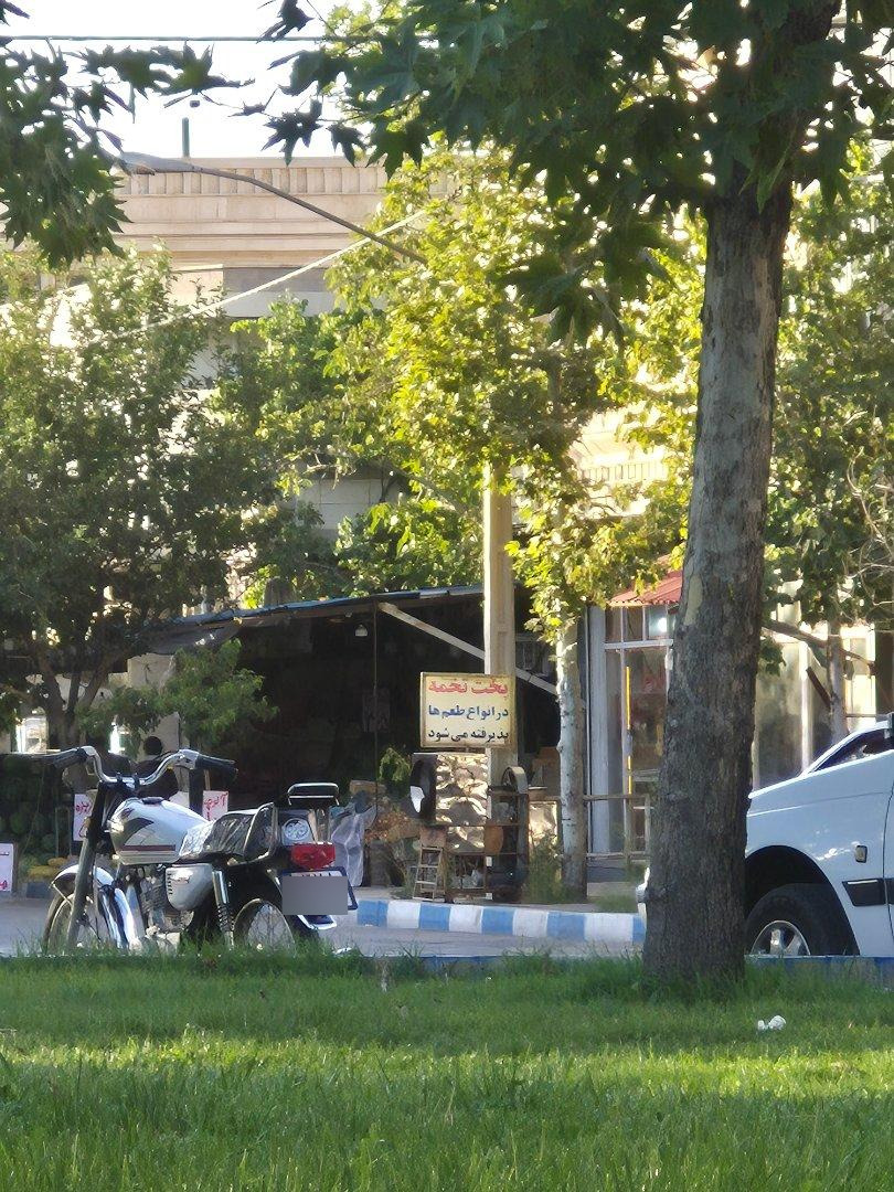 عکس تخمه خوی