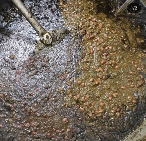 عکس آشپزخانه نگین