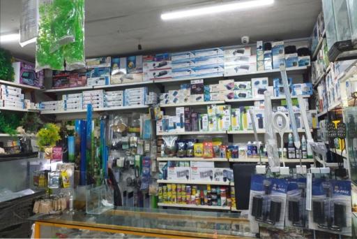 آکواریوم دلفین