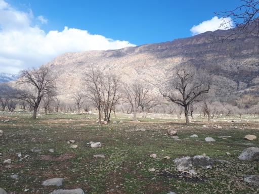 عکس والی آباد