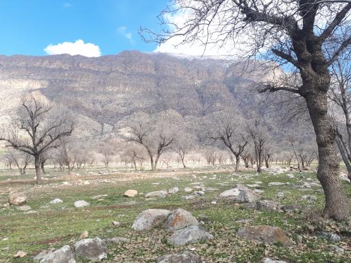 عکس والی آباد