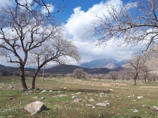 عکس والی آباد
