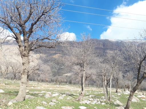عکس والی آباد
