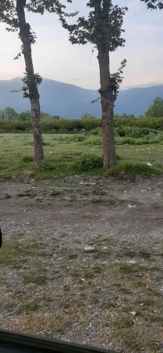 عکس آشپزخانه مرکزی توسکا